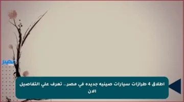 إطلاق 4 طرازات سيارات صينية جديدة في مصر.. تعرف على التفاصيل الآن